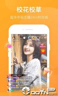 1在线直播观看,在线观看的全新体验之旅